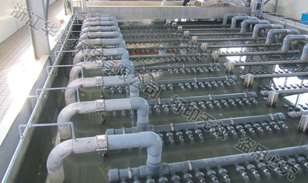 牡丹江水厂膜处理器